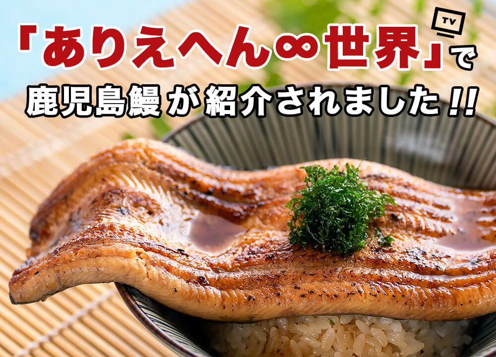 「ありえへん∞世界」で鹿児島鰻が紹介されました！！